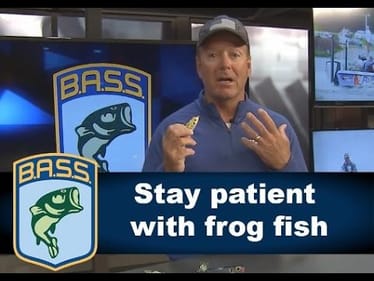 Tips for fishing with a frog