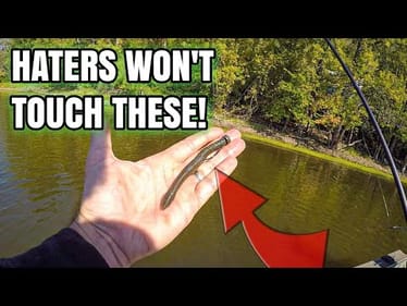 Ned Rigs for FALL Bass (HATERS Say It's FAKE)