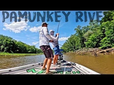 Bass Fishing the PAMUNKEY RIVER Tidal Fishery! (Flipping & Froggin)