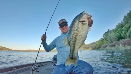 Jerkbaits Vs. Swimbaits : Which One Wins?