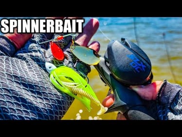 Spinnerbait Fishing in WINDY Muddy Water! *GREAT Spring Lure*