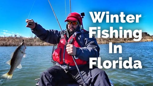 Cold Day in Florida - I can't believe I caught this many bass
