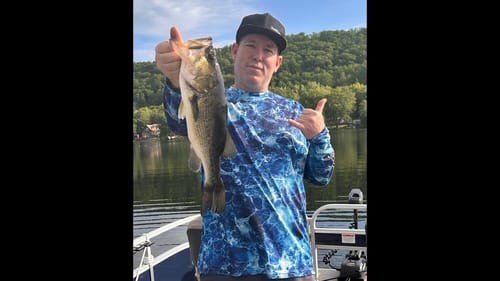 Bass Open Frenzy! #bassfishing #bass #fishing #basshogg