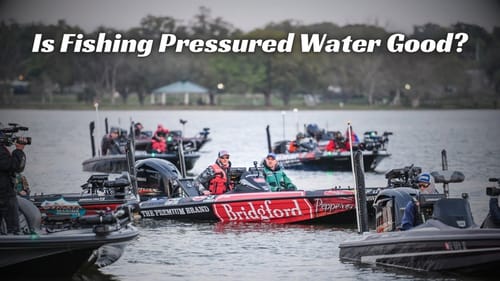 Why You SHOULD Fish Heavily Pressured Lakes!
