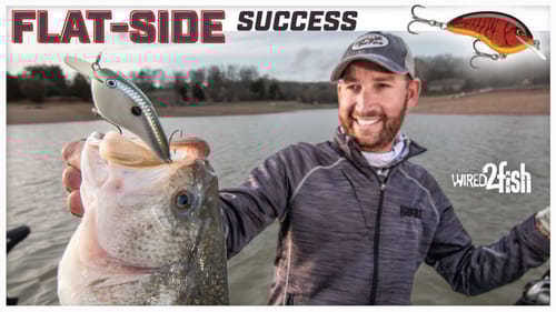 Ott's 7 Flat-Sided Crankbait Tips for Prespawn Bass