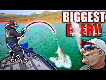 Catching the Biggest Smallmouth Bass EVER on Film with a Glide Bait