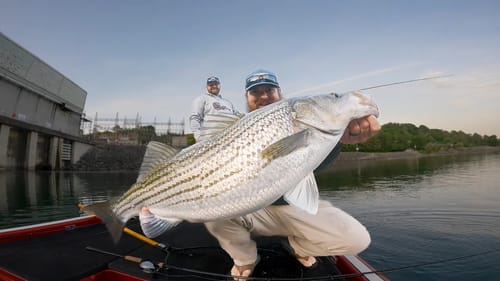 Multi Species Madness Fishing At The Dam!