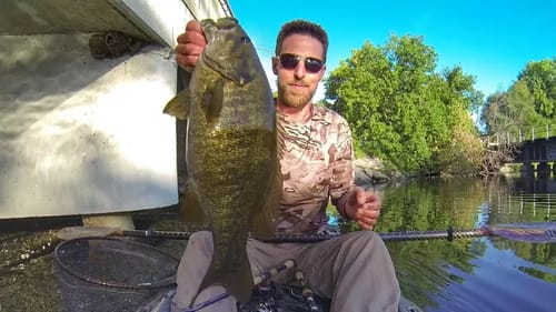 City Limits Smallies