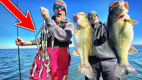 This Rig Should be ILLEGAL!!! (MONSTER Texas Bass Can't Resist)