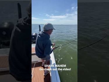 Insane shark fishing! #shorts