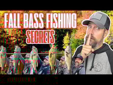 Fall Bass Fishing Secrets You NEED to Know