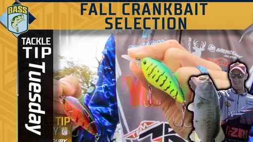 Brandon Cobb's cranking guide to the Fall