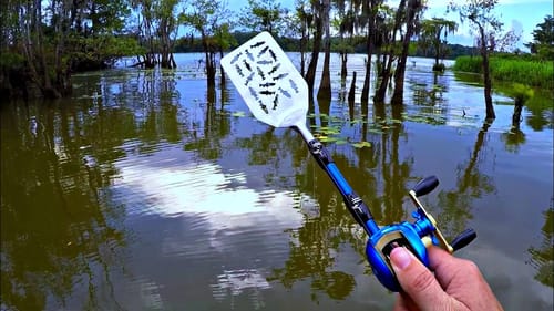 Micro Rod Fishing Challenge! (Caught a New Pet)