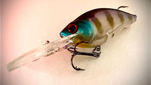 Spring Crankbaits
