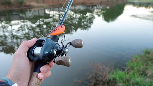 Fishing a SECRET Urban Pond (LOADED W/ HUGE BASS)