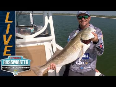 REDFISH: Atkins needs a bigger board