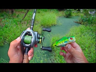 Fishing For 10lb BASS In Frog Fisherman's HEAVEN! (Giant Bass)