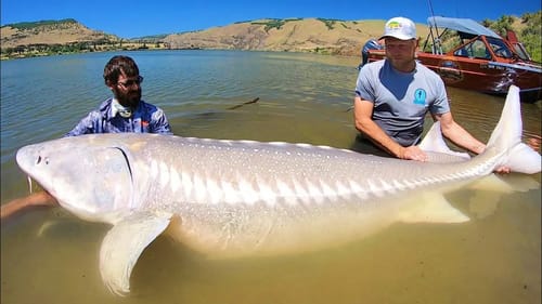 The BIGGEST FISH OF MY LIFE!!!