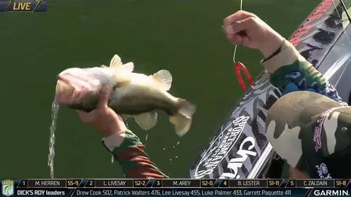 2019 Bassmaster LIVE at Lake Guntersville - Sunday