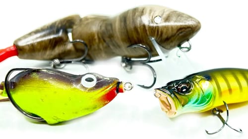 Topwater Tricks For Summer Bass Fishing!