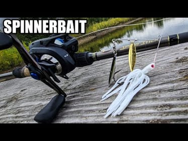 Fall Bank Fishing | Spinnerbait + Wood = FISH