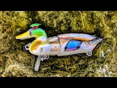 FISHING with a DUCK LURE!! (2 FISH ONE CAST)