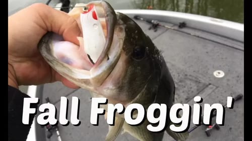 Frog Fishing In the Fall