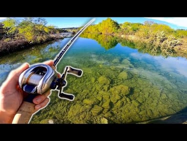 We Discovered a CRYSTAL Clear Creek Under a HIGHWAY BRIDGE! (Part 2)