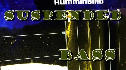 SIX Lures For SUSPENDED Summer Bass