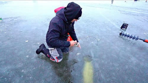 Unexpected WORLD RECORD Catch on 2 POUND TEST LINE?!?!