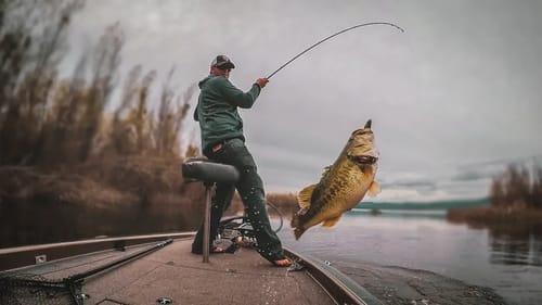 Boat Flipping Frog fish!