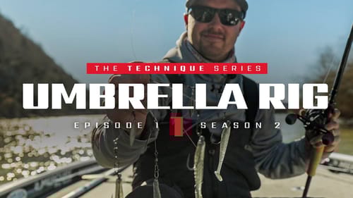 Umbrella Rig ft. Jake Capps (Skip docks with the A-Rig??)