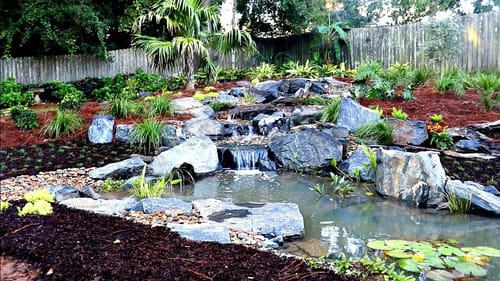 Building a Backyard Bass Pond!! (Day 2)