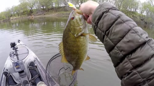 Hat Cam Smallies 5-8-2015