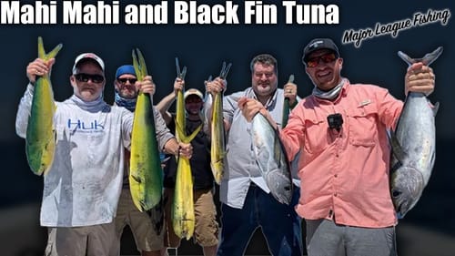 Fishing for TUNA and MAHI MAHI - Catch and Cook