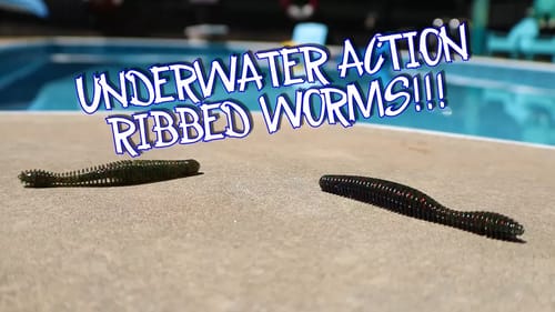 BEST WORM for BASS FISHING!!!