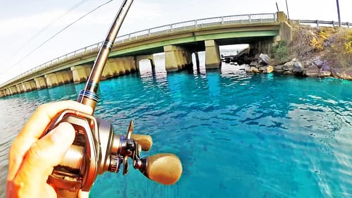 GIANT FISH HIDE UNDER BRIDGES! (Unexpected)