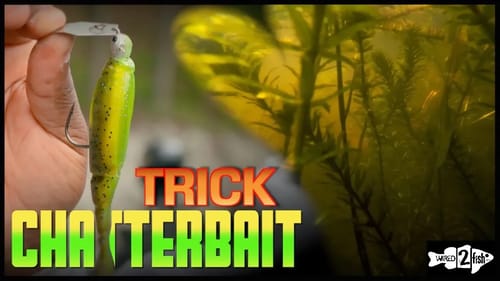 Top ChatterBait Modification for Fishing Heavy Cover