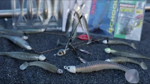 Spring A-Rigs | Everything You Need To Know!