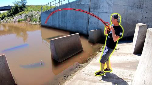 Surprise BIG FISH Catch from Stagnant Spillway!!