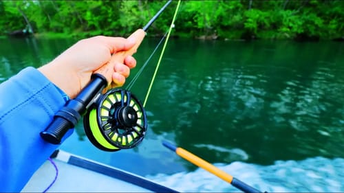Fly Fishing For TROUT On TANEYCOMO! (AMAZING)