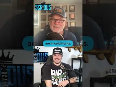 SNEAKY Bait to Fish Around Wood!