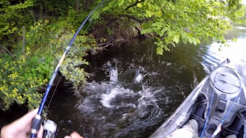 Snag Retrieval Smallies