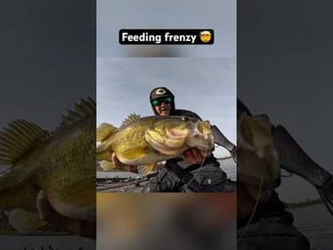 Major Cold Front = Bass Feeding Frenzy 🤯