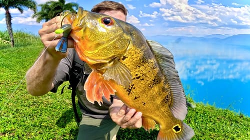 Urban Fishing for Exotic Species