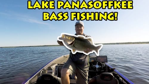 INSANE Topwater Blowups - Lake Panasoffkee Bass Fishing