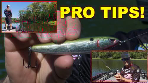 Best Fall Topwater Lures (They REALLY Work!) | Bass Fishing