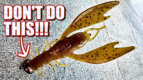 6 Shakey Head Mistakes EVERY Anglers Make
