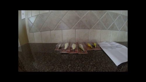 Stanford Cedar Lures Unboxing