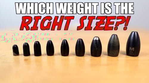 How to Choose the RIGHT Weight for Bass Fishing with a Texas Rig!